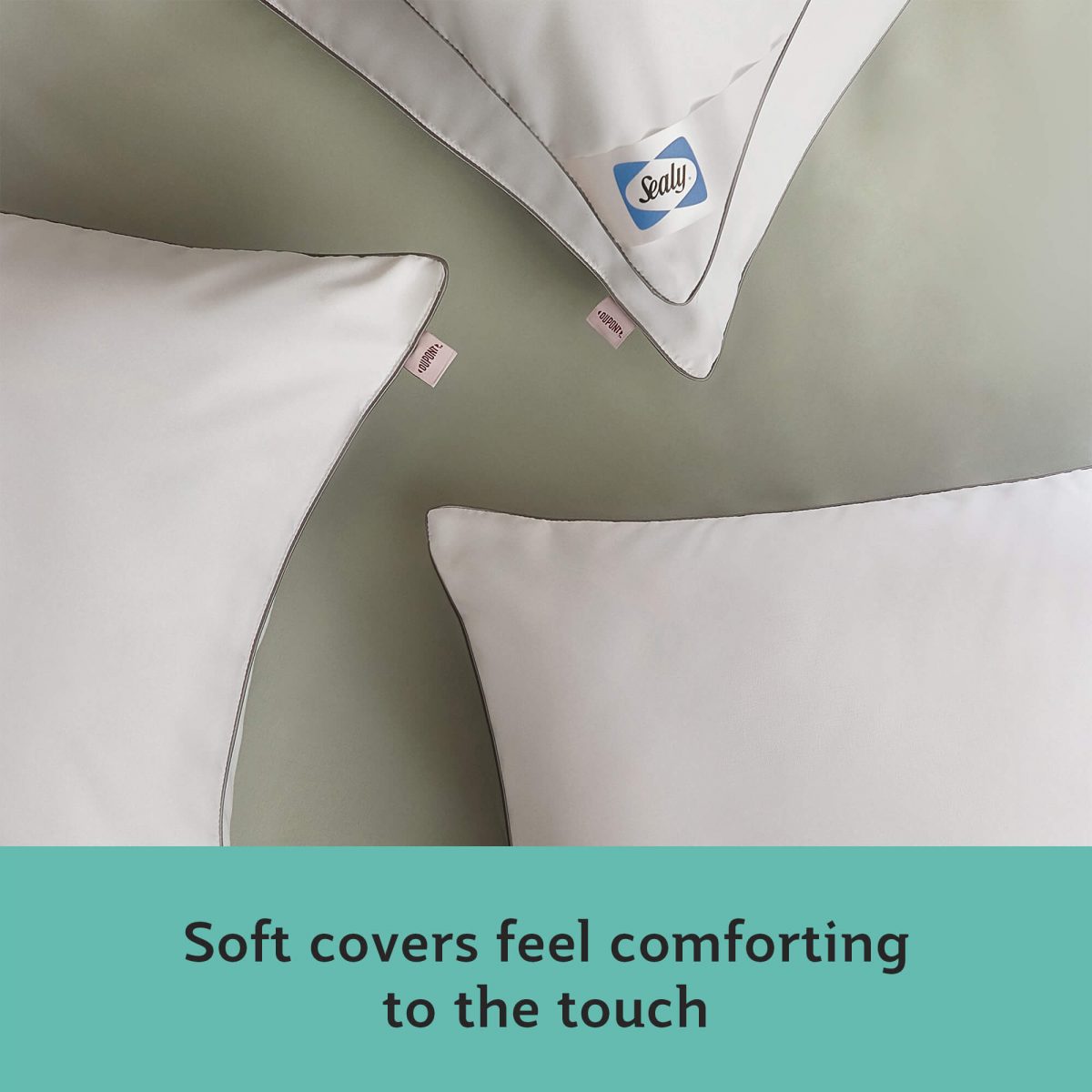 Sealy Anti-Allergy Pillows