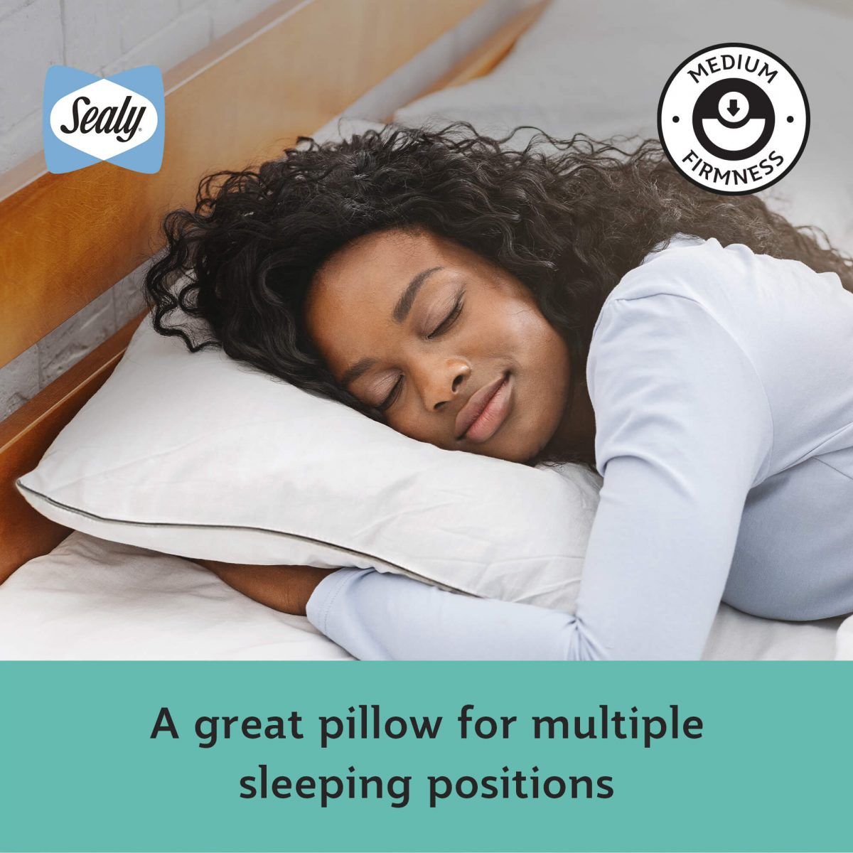 Sealy Anti-Allergy Pillows