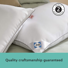 Sealy Anti-Allergy Pillows