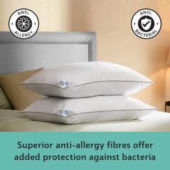 Sealy Anti-Allergy Pillows